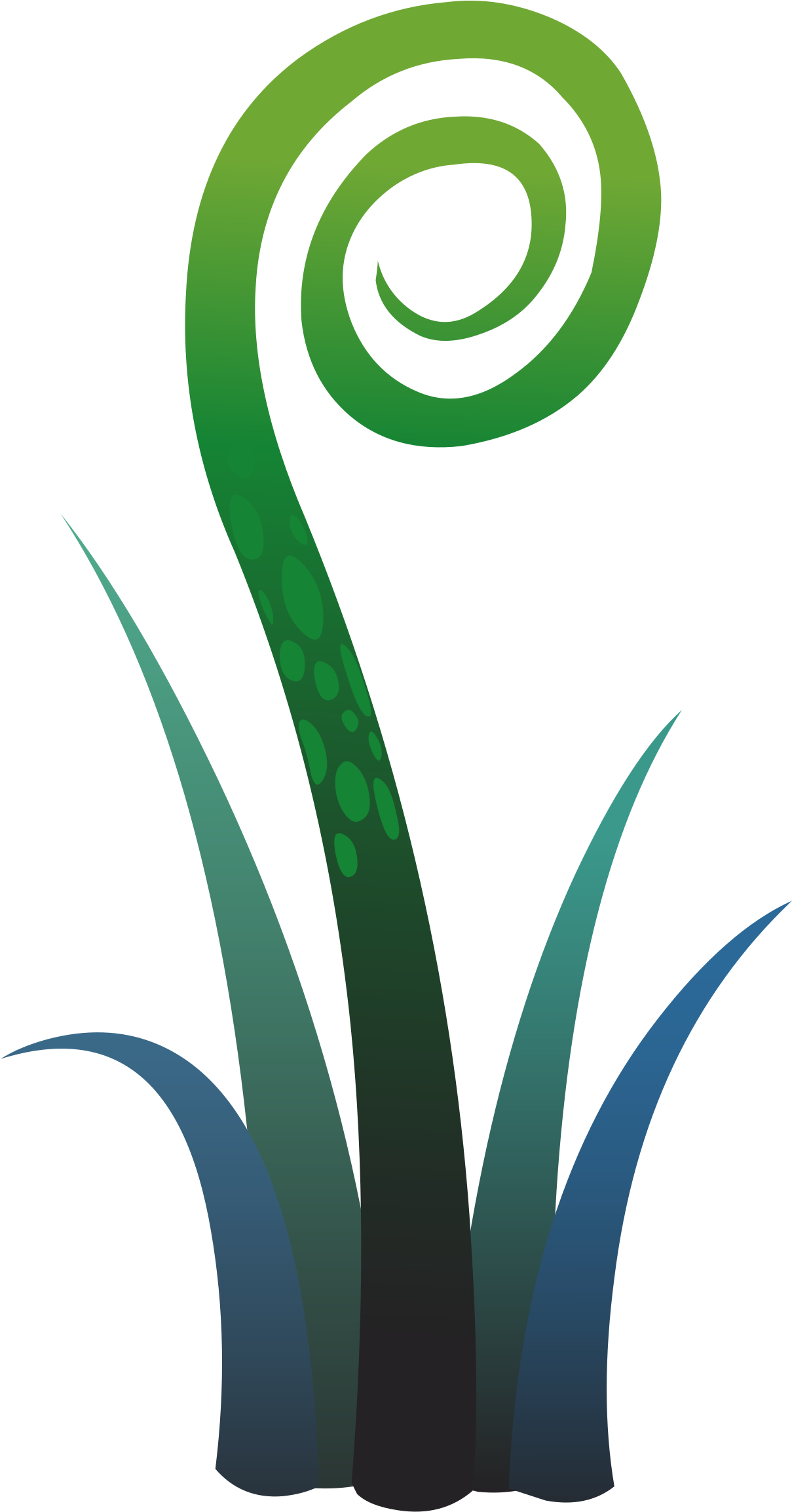 Illustration of a green fern